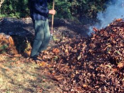 Frost Protection with Smoke