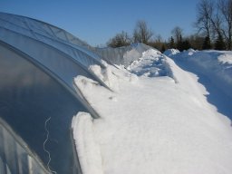 Snow vs. Greenhouses