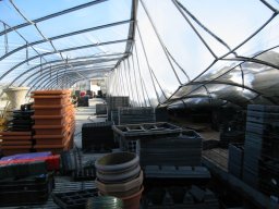 Collapsed Greenhouses