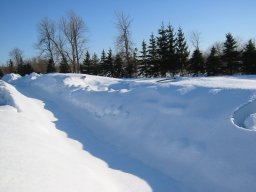 Overwintering Greenhouses