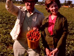 Happy Pickers