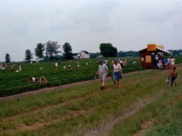 Barnsdale Road Farm