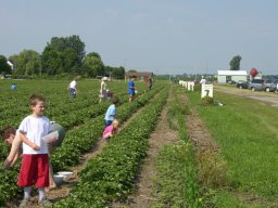 Fallowfield Harvest