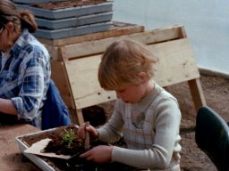 Debbie Planting